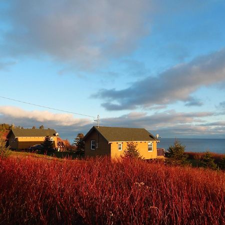 Les Chalets Brise-De-Mer Sainte-Therese-de-Gaspe 外观 照片