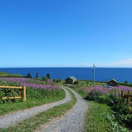 Les Chalets Brise-De-Mer Sainte-Therese-de-Gaspe 外观 照片