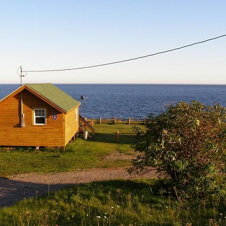 Les Chalets Brise-De-Mer Sainte-Therese-de-Gaspe 外观 照片