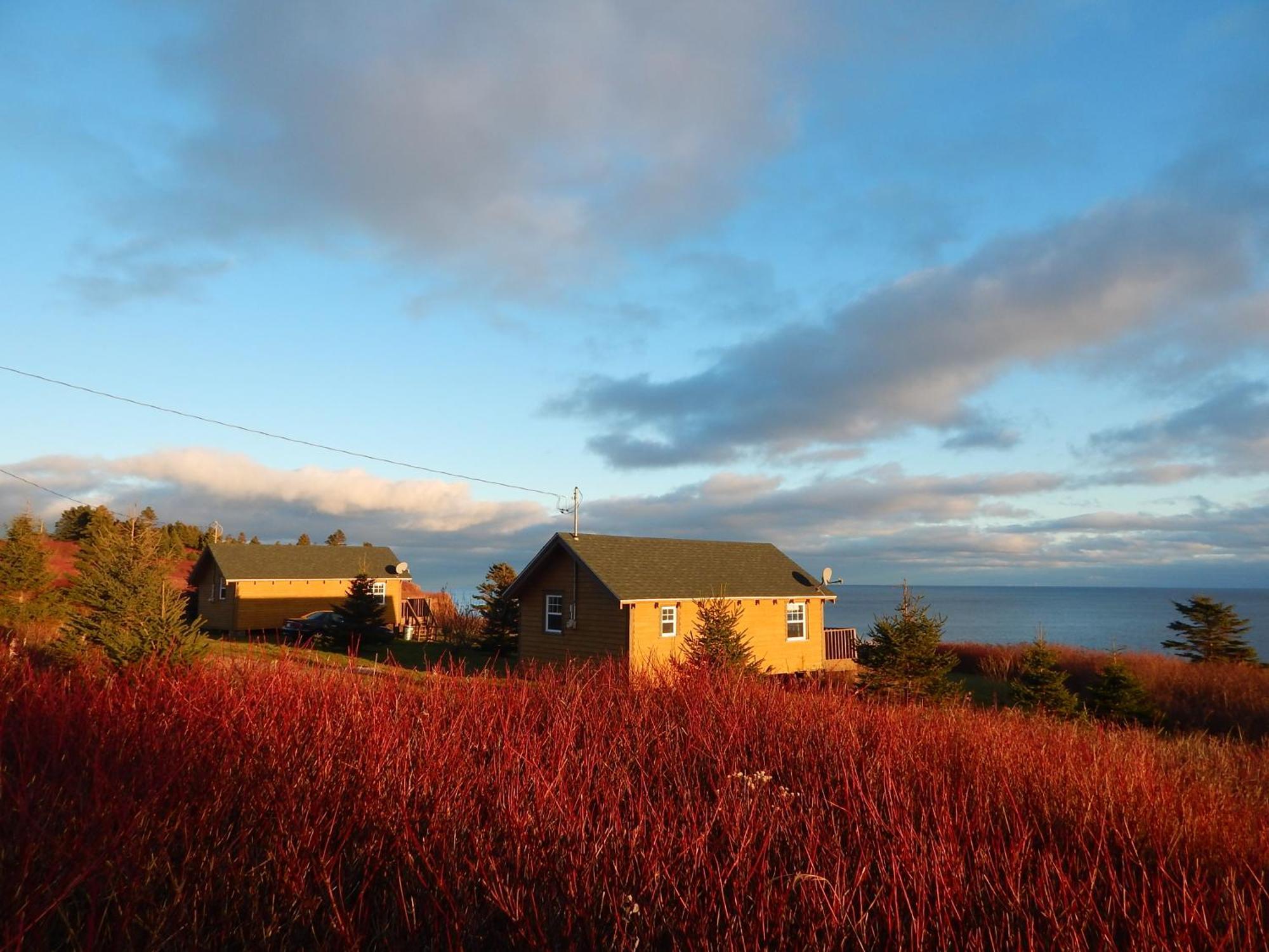 Les Chalets Brise-De-Mer Sainte-Therese-de-Gaspe 外观 照片