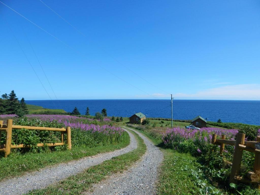 Les Chalets Brise-De-Mer Sainte-Therese-de-Gaspe 外观 照片