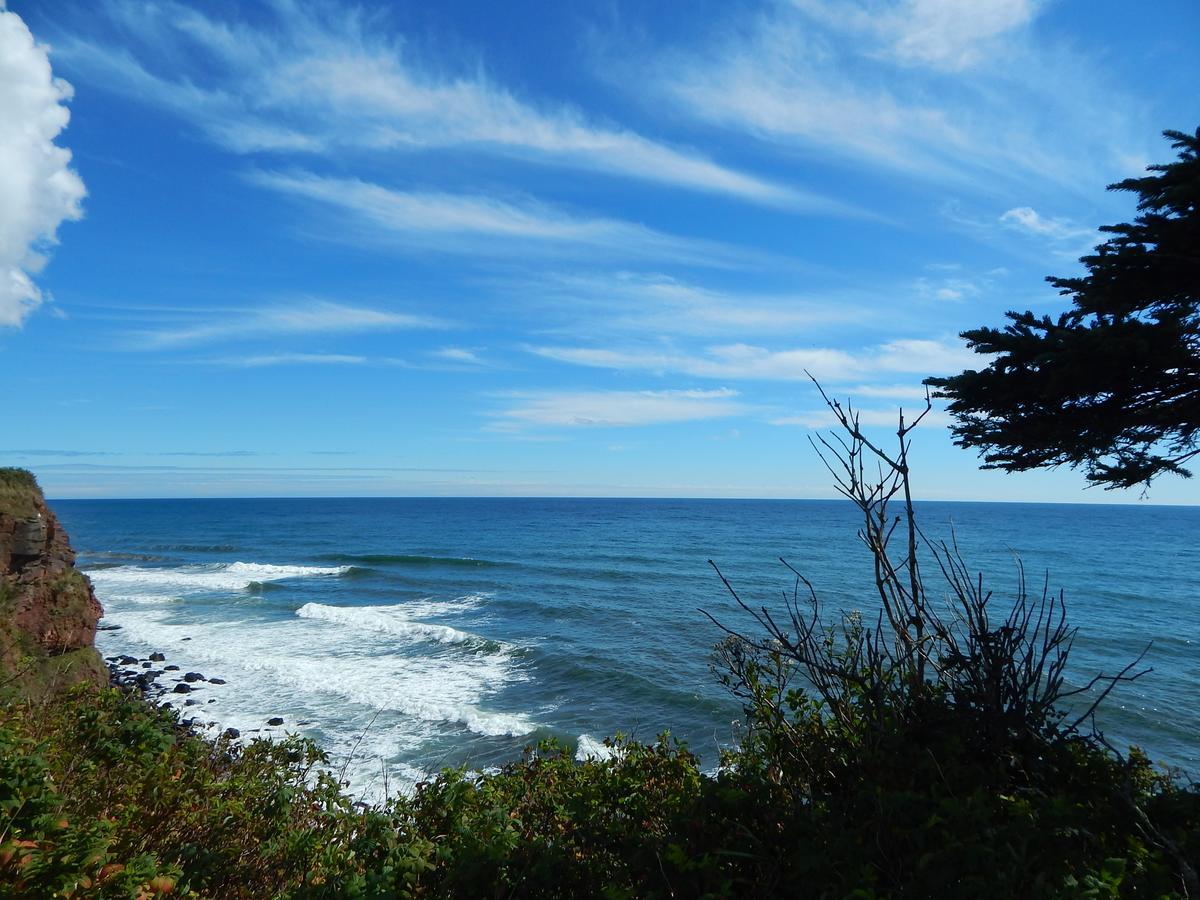 Les Chalets Brise-De-Mer Sainte-Therese-de-Gaspe 外观 照片