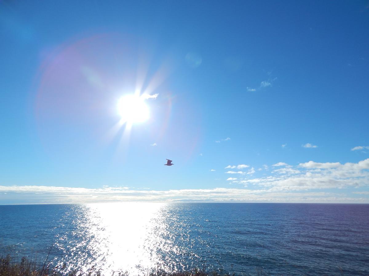 Les Chalets Brise-De-Mer Sainte-Therese-de-Gaspe 外观 照片